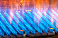 Woodlinkin gas fired boilers